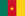 International football manager - Cameroon football manager