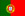 International football manager - Portugal football manager