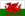 International football manager - Wales football manager